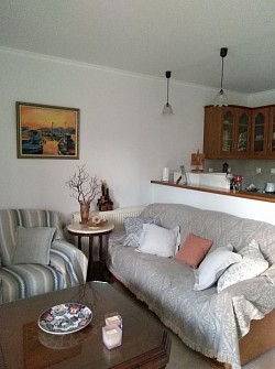 Living room combined with the kitchen