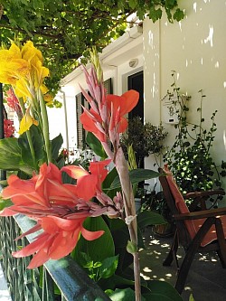 Many flowers in garden on veranda Apartment A in Sami
