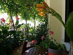 Your private veranda A Nostalgia Apartment