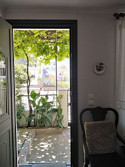 View out of room