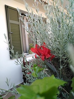 Veranda with flowers is private  2025