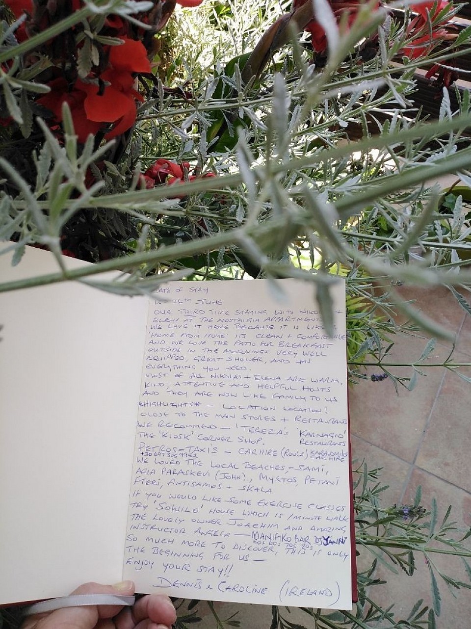 Review from our gests 2025.. This is their third time to stay with us... Thank you very much!...