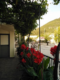 Veranda apt. A under grapes